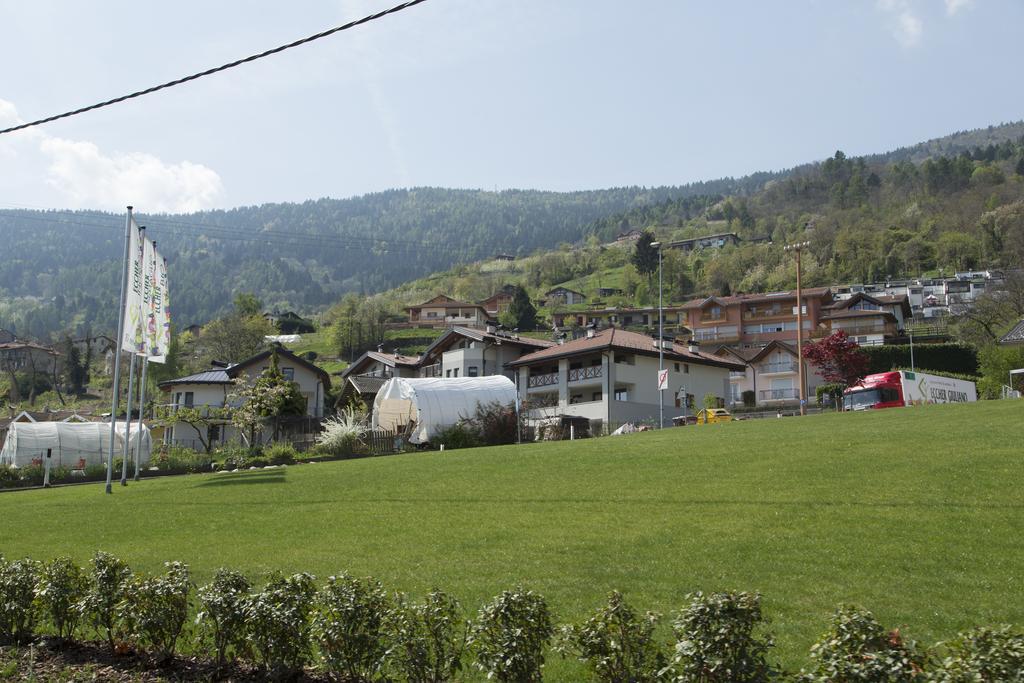 La Terrazza Sul Lago Pergine Valsugana Extérieur photo